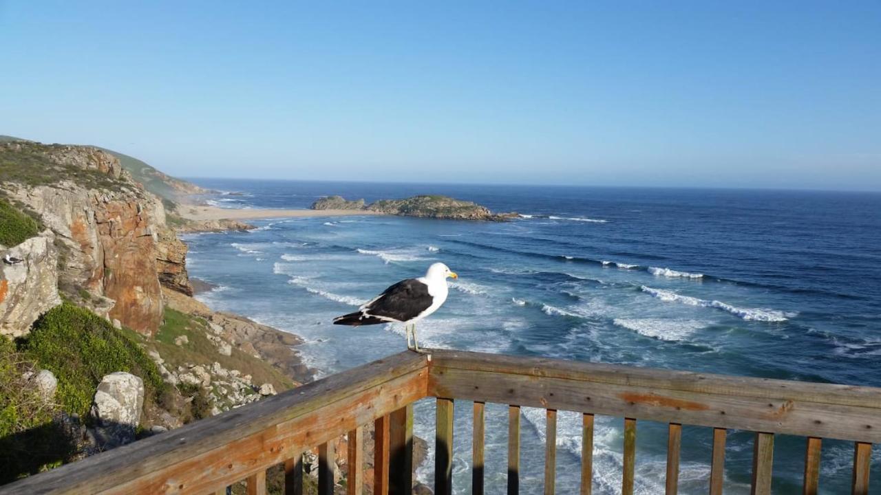 Апартаменты Plettenberg Bay -Casa Da Paz Экстерьер фото